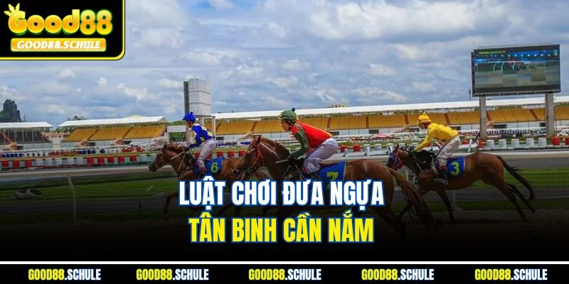 Luật chơi đưa ngựa tân binh cần nắm 